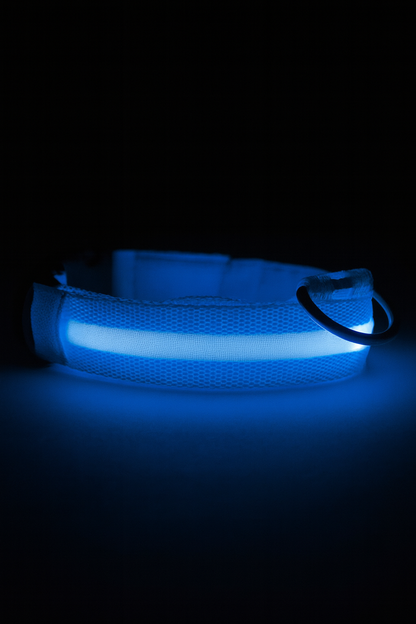 LBMLBM™-LED Dog Collar