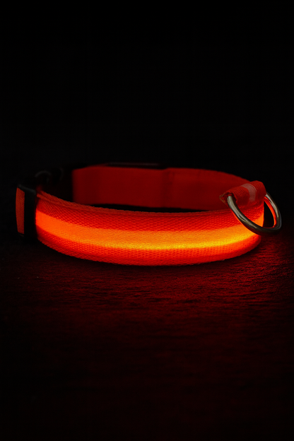 LBMLBM™-LED Dog Collar
