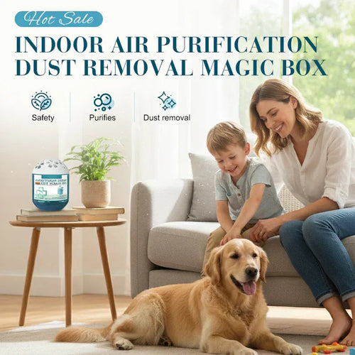 💙2026 New Collection💙  🌿 Indoor Air Purification Dust Removal Magic Box🏠